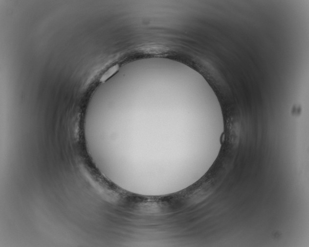 X0000112470404200909071138