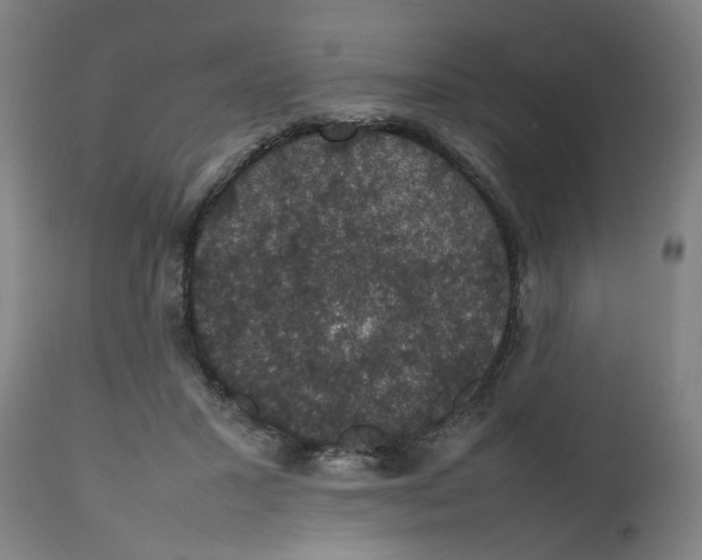 X0000112470407200909071138