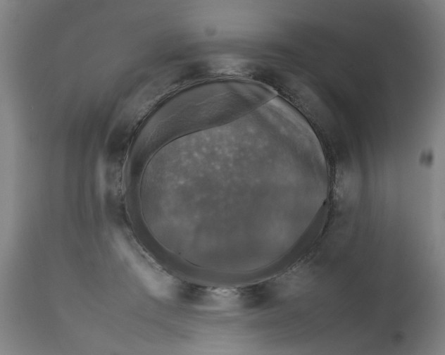 X0000112470409200909071138