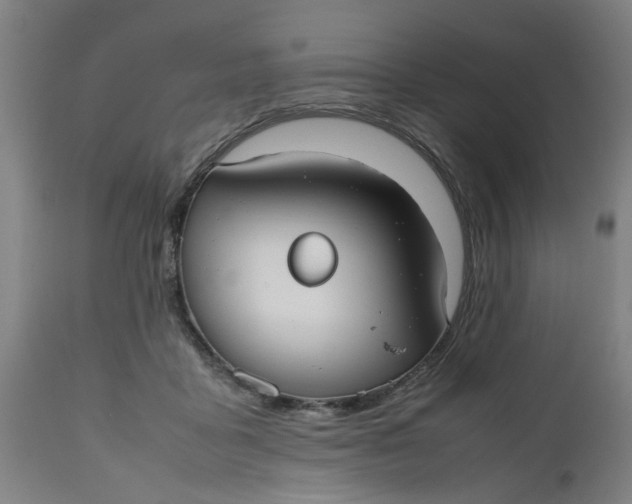 X0000112470411200909071138