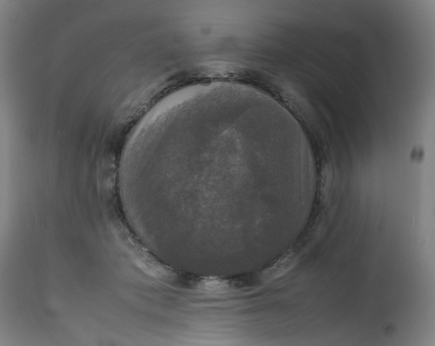 X0000112470413200909071138