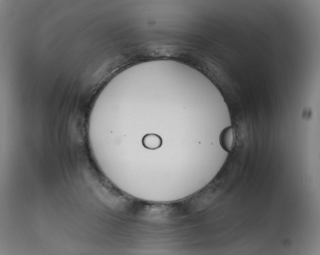 X0000112470414200909071138