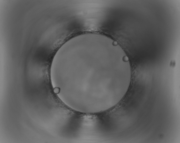 X0000112470415200909071138