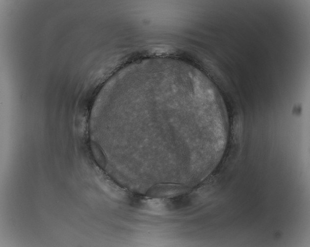 X0000112470417200909071138