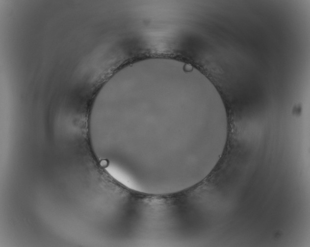 X0000112470419200909071138