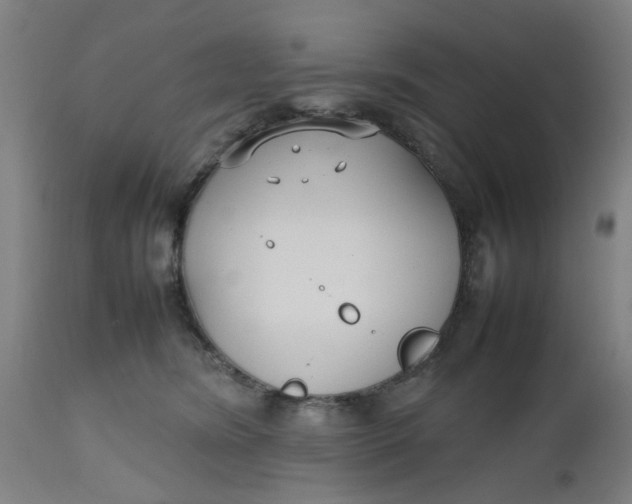 X0000112470420200909071138