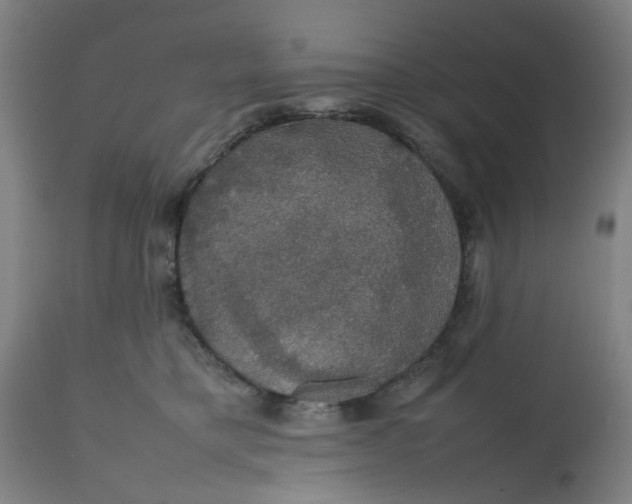 X0000112470421200909071138