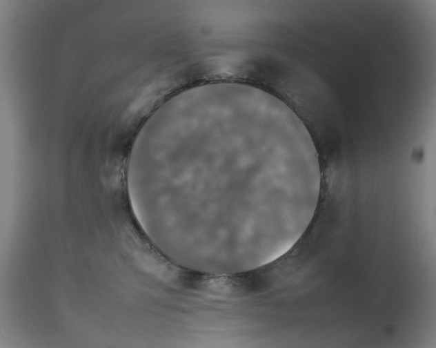 X0000112470423200909071138