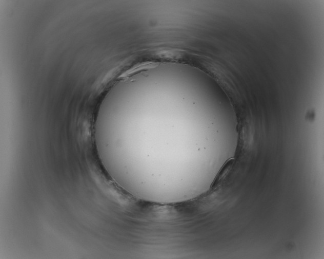 X0000112470424200909071138