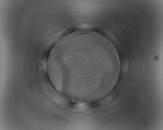 X0000112470425200909071138