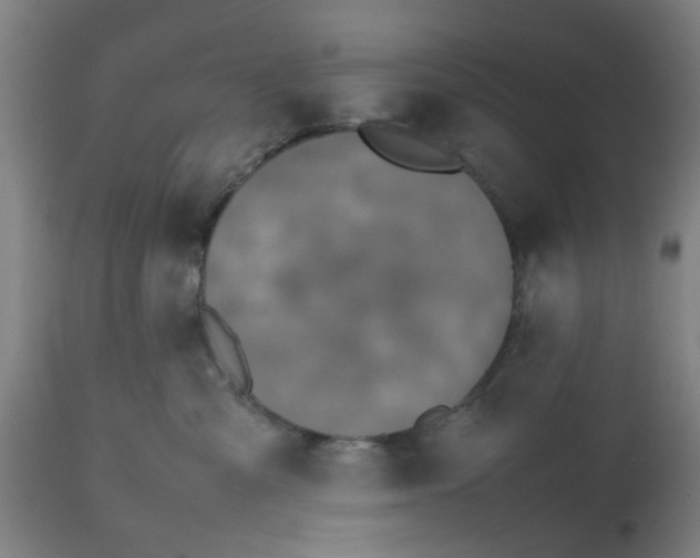 X0000112470427200909071138