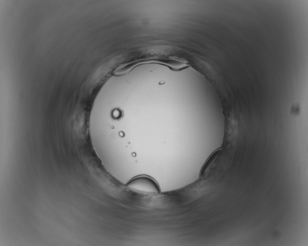 X0000112470428200909071138