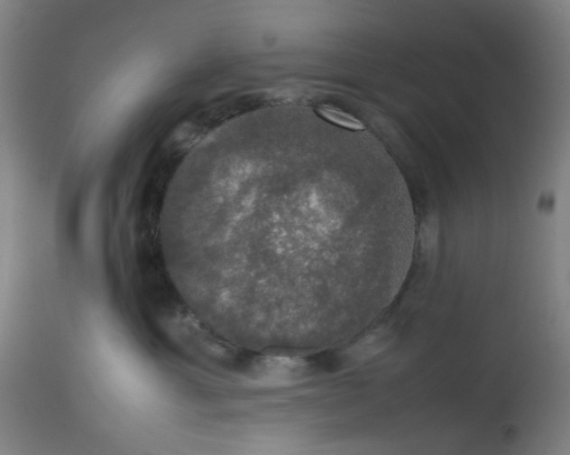 X0000112470429200909071138