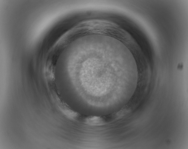 X0000112470431200909071138