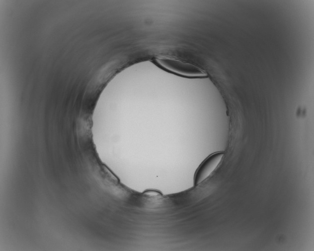 X0000112470432200909071138