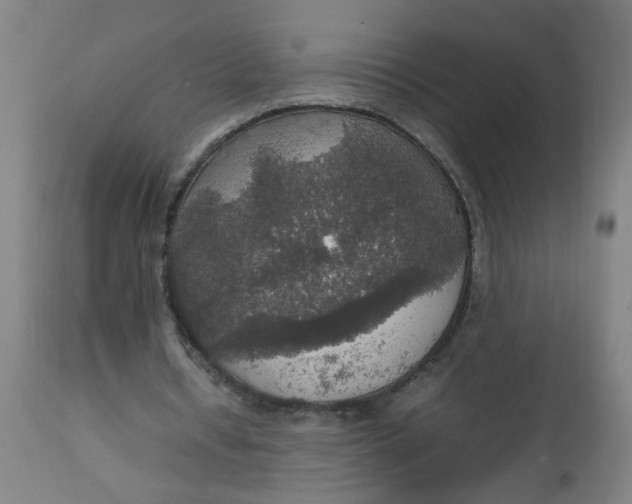 X0000112470434200909071137