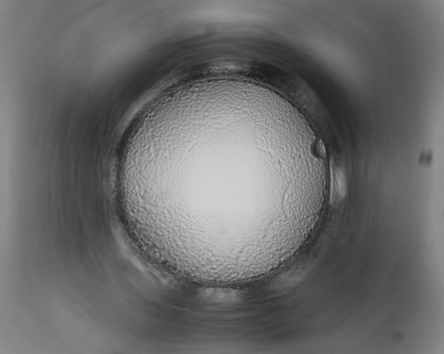 X0000112470435200909071137