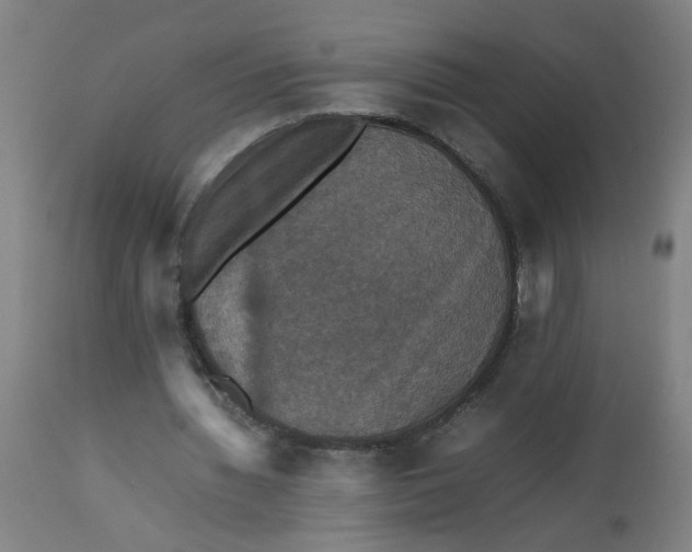 X0000112470436200909071137