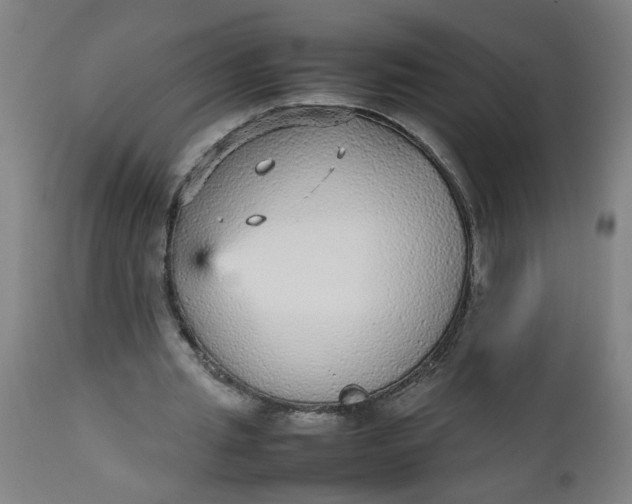 X0000112470437200909071137