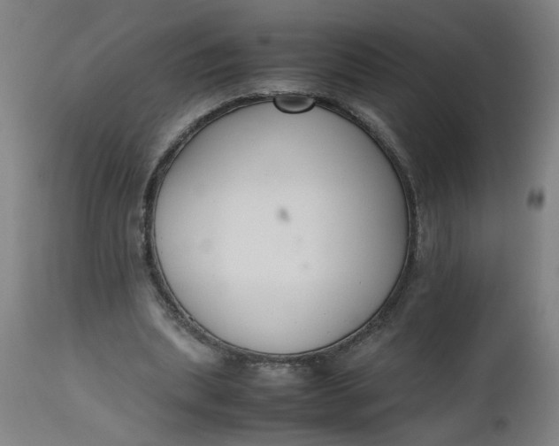 X0000112470439200909071137