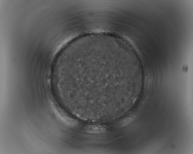 X0000112470443200909071137