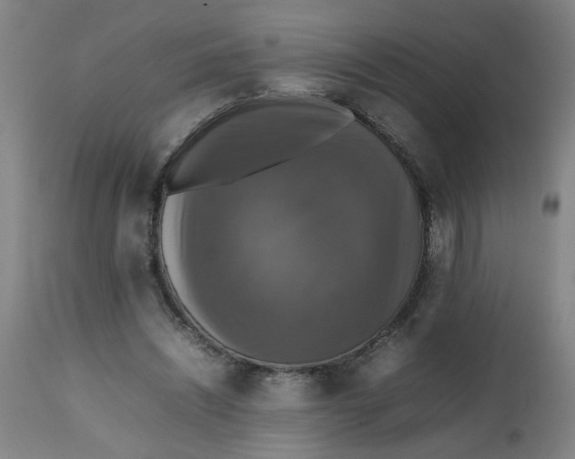 X0000112470444200909071137