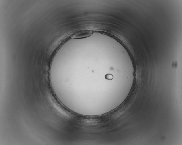 X0000112470445200909071137