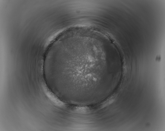 X0000112470446200909071137