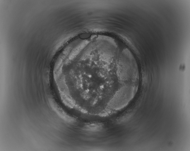 X0000112470447200909071137