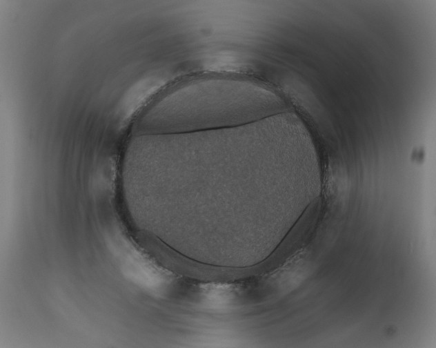 X0000112470448200909071137