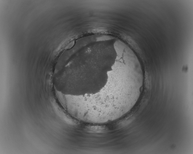 X0000112470449200909071137