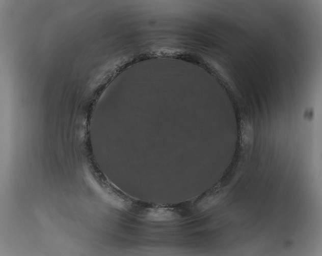 X0000112470451200909071137