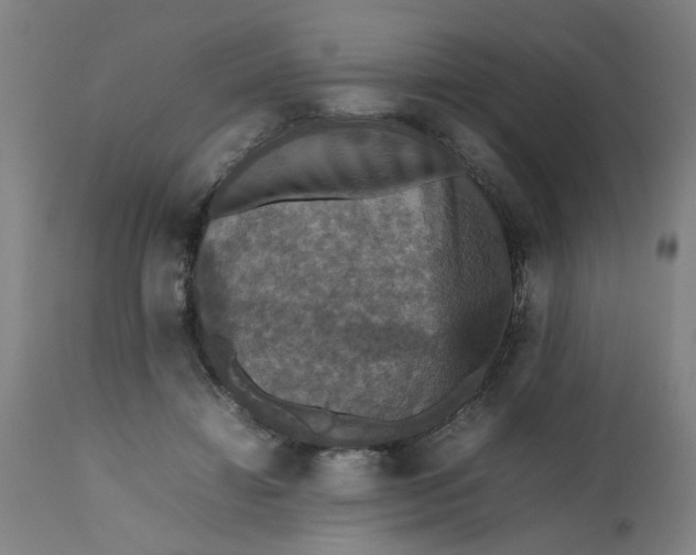 X0000112470452200909071137