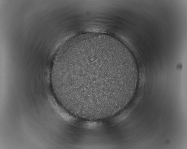 X0000112470453200909071137