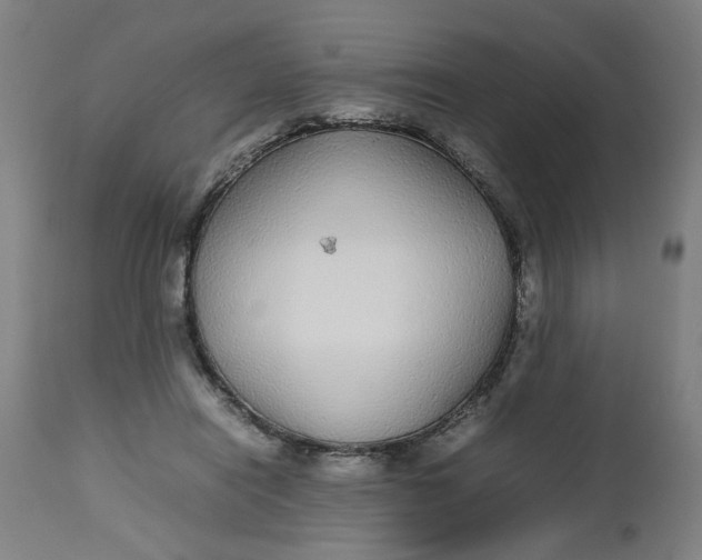 X0000112470454200909071137