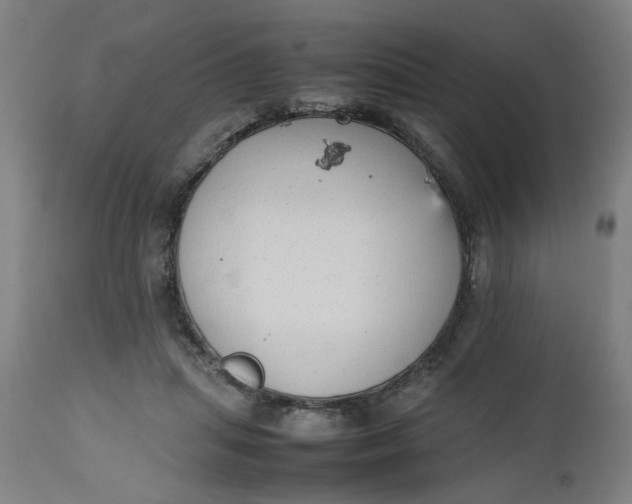 X0000112470455200909071137