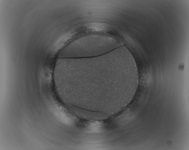 X0000112470456200909071137