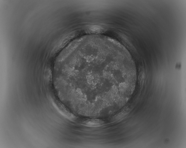 X0000112470459200909071137