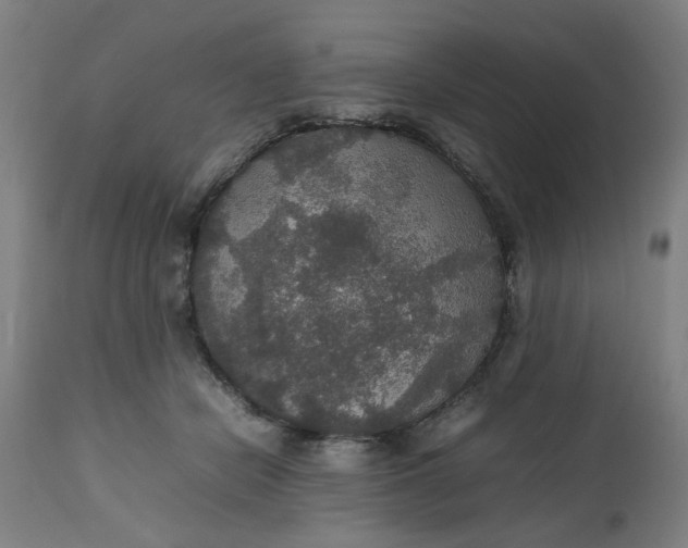 X0000112470462200909071137