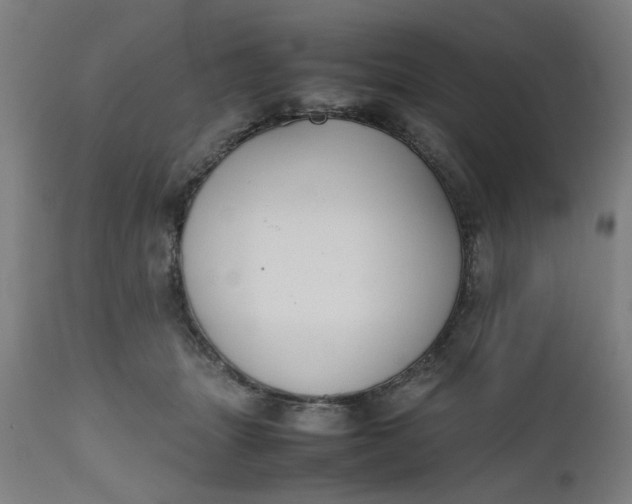 X0000112470463200909071137