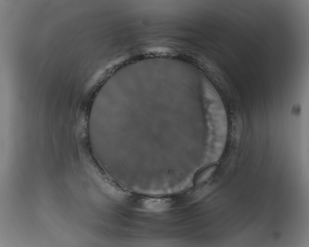 X0000112470465200909071137