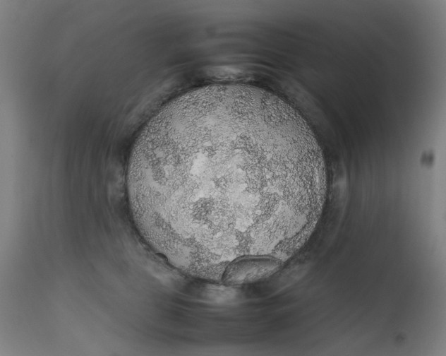 X0000112470469200909071137