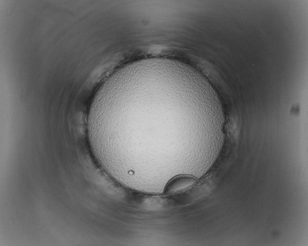 X0000112470470200909071137