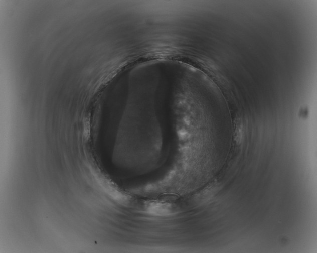 X0000112470471200909071137