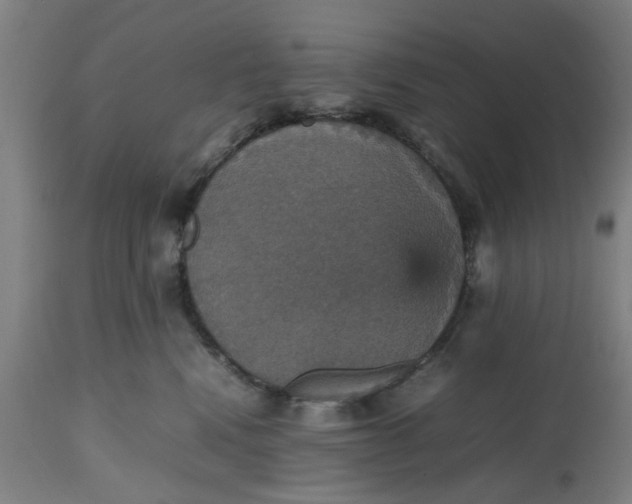 X0000112470472200909071137