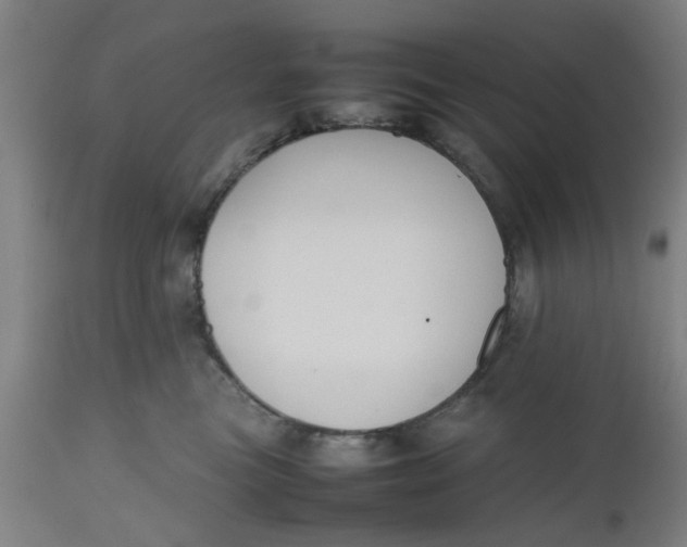 X0000112470473200909071137