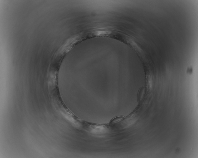 X0000112470475200909071137