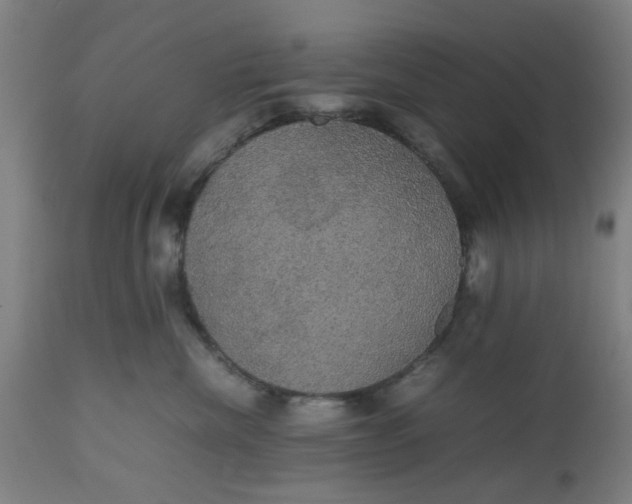 X0000112470476200909071137