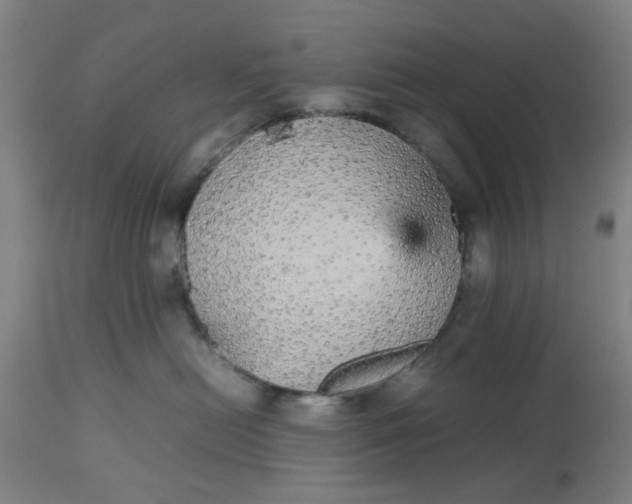 X0000112470478200909071137