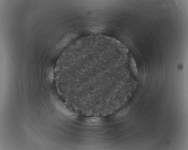 X0000112470479200909071138